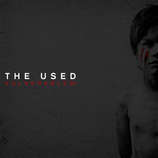 File:Vulnerable by the used reissue.jpg