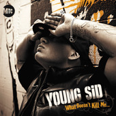 <i>What Doesnt Kill Me...</i> (Young Sid album) 2010 studio album by Young Sid