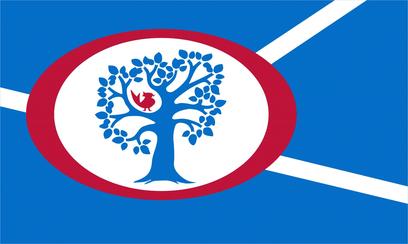 File:Annandale Flag.jpg