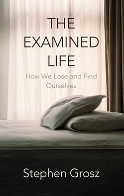 <i>The Examined Life</i> (Grosz book) 2013 book by Stephen Grosz