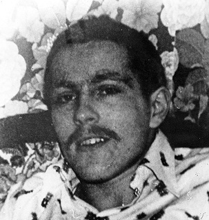 <span class="mw-page-title-main">Francis Hughes</span> Provisional IRA volunteer and hunger striker