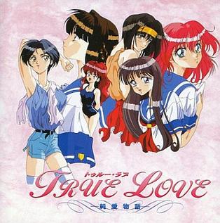 <i>True Love</i> (video game) 1995 video game
