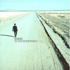 <i>What Are You Going to Do with Your Life?</i> 1999 studio album by Echo & the Bunnymen