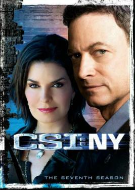 File:CSI NY - The 7th Season.jpg