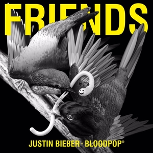 Friends (Justin Bieber and BloodPop song) 2017 single by Justin Bieber and BloodPop