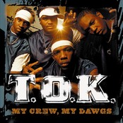 <i>My Crew, My Dawgs</i> 2001 studio album by T.O.K.