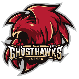 <span class="mw-page-title-main">Tainan TSG GhostHawks</span> Professional basketball team in Taiwan