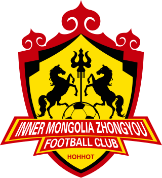 <span class="mw-page-title-main">Inner Mongolia Zhongyou F.C.</span> Chinese football club