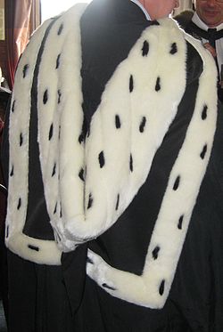 A modern reproduction of the original Lampeter BA hood Lampeter BA.jpg