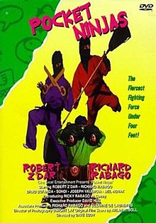 Pocket ninjas dvd.jpg