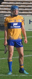 Shane ODonnell Irish hurler