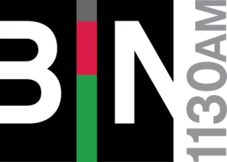 <span class="mw-page-title-main">WDFN</span> Black Information Network radio station in Detroit