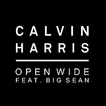 Calvin Harris Big Sean Açık Wide.jpg