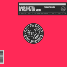 David Guetta and Martin Solveig - Thing for You.png