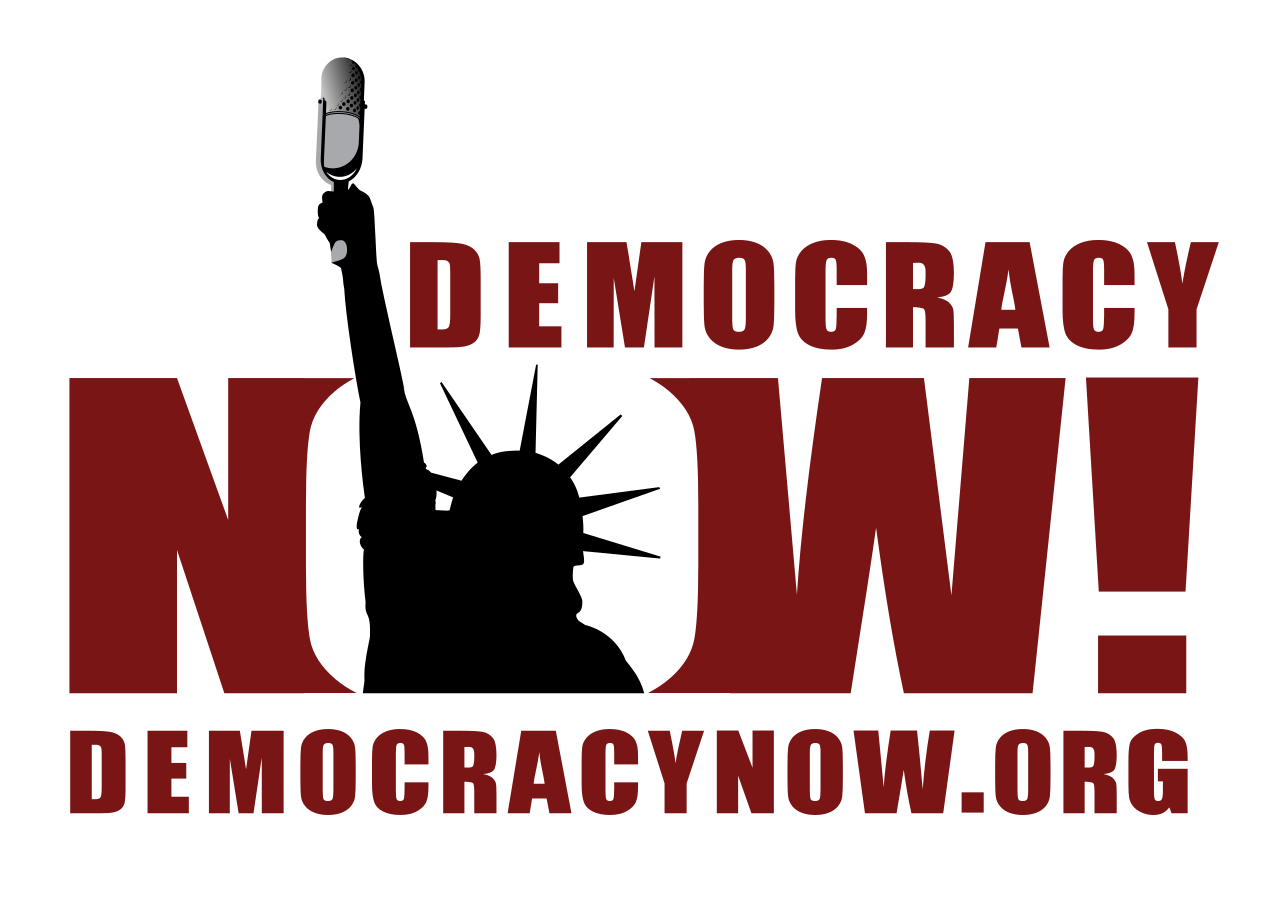 Image result for DEMOCRACY NOW LOGO