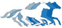 Minnesota klaczek logo