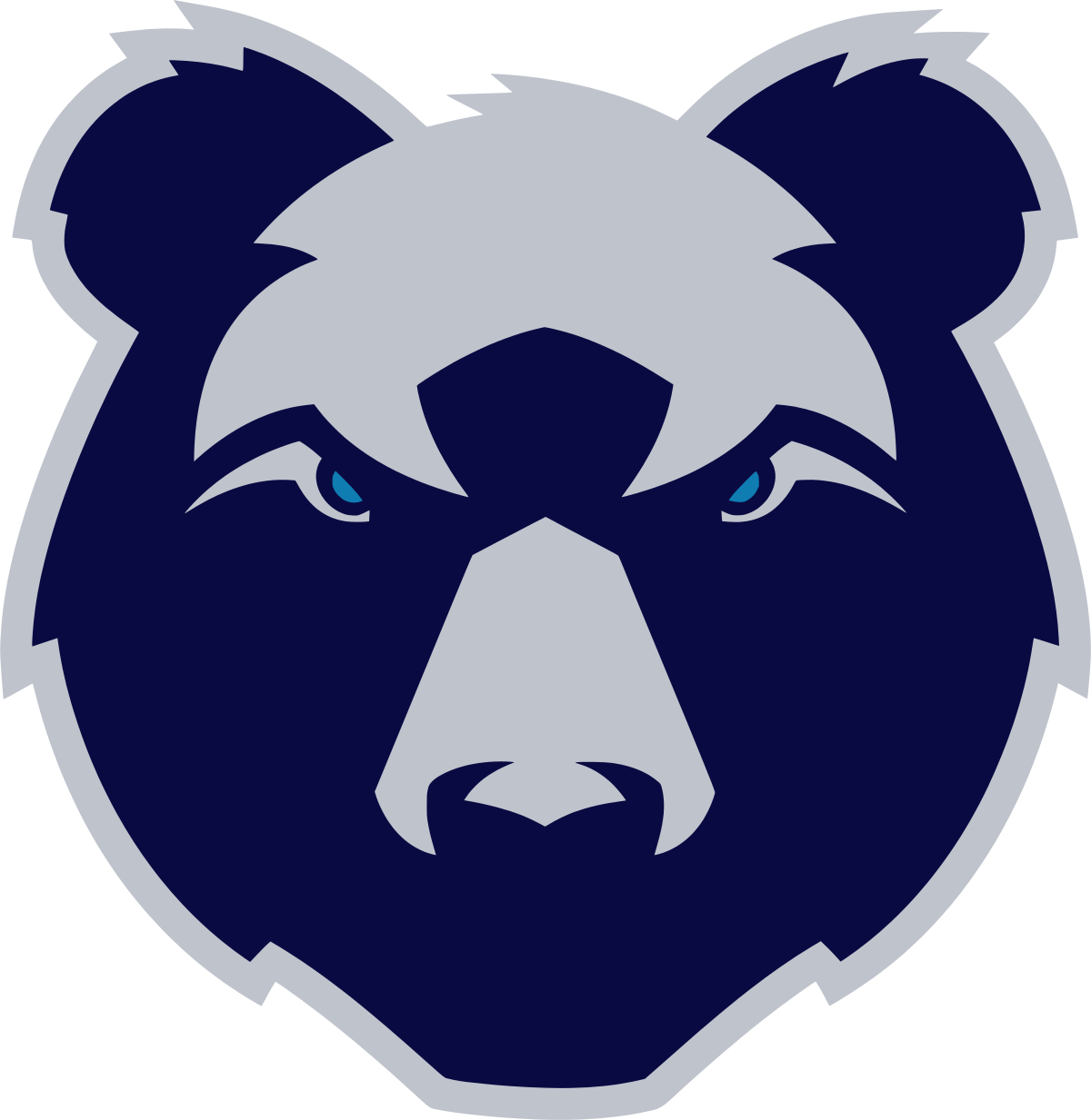 Bristol Bears 