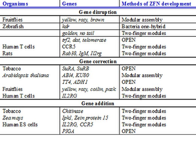 Plants, animals and human genes that are successfully targeted using ZFN, which demonstrates the generality of this approach