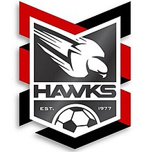 Holland Park Hawks Logo.jpg