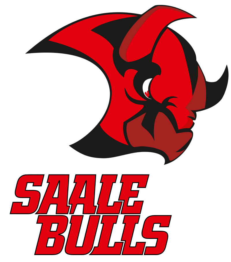 Saale Bulls - Fan-Fahne - Rot - Logo - 150x100cm