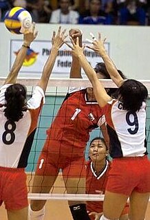 Volleyball at the 2005 Southeast Asian Games