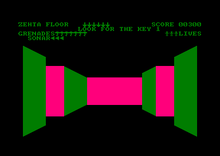 View from inside the maze (Amstrad) 3D Monster Chase 1.png