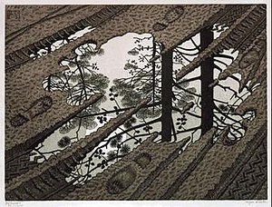 Image result for M.C. Escher