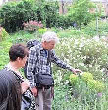 Jonathan Trustram leading the Self Seeders Walk, showing the use of self-seeding plants by the Putting Down Roots project of St Mungo's. Putting Down Roots.jpg