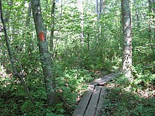 Audubon Trail in Coventry