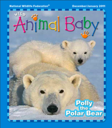 WildAnimalBaby-PolarBear.png