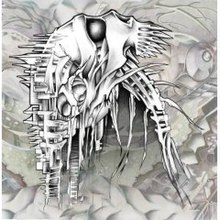 Nano-Nucleonic Cyborg Summoning (Bakın ... The Arctopus album) coverart.jpg