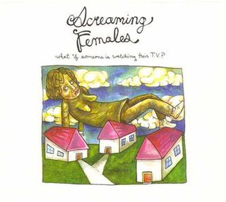 <i>What If Someone Is Watching Their T.V.?</i> 2007 studio album by Screaming Females