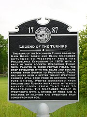 Historical marker commemorating introduction of the Macomber turnip Westportturnip.jpg