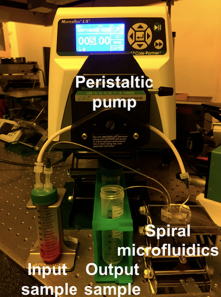 File:Experimental setup.png