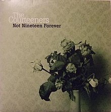 Değil Nineteen Forever - single cover.jpg