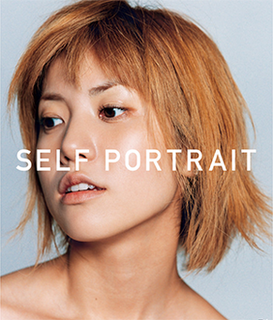 <i>Self Portrait</i> (Hitomi album) compilation album by Hitomi