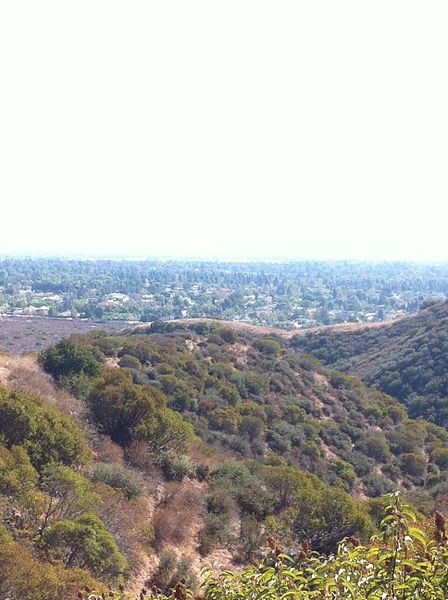 File:View from the foothills.jpg