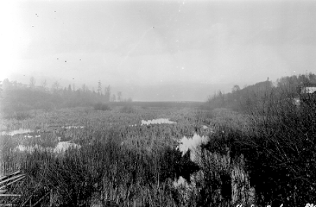 Wetmore slough