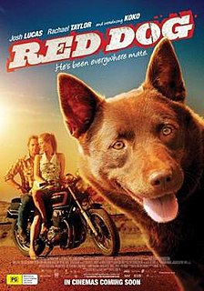<i>Red Dog</i> (film) 2011 film by Kriv Stenders
