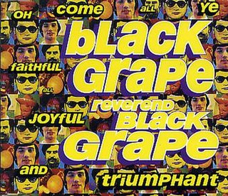 <span class="mw-page-title-main">Reverend Black Grape</span> 1995 single by Black Grape