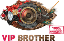 Vip-Bruder-2015-logo.png