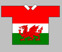 Wales team shirt used in the 2000 World Cup. Wales rugby league shirt.PNG