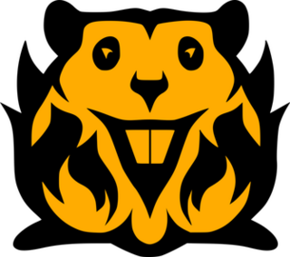 <span class="mw-page-title-main">Fire Beavers</span> European esports team