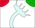 Thumbnail for Tropic cues involved in growth cone guidance