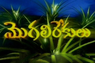 <i>Mogali Rekulu</i> Telugu language soap opera