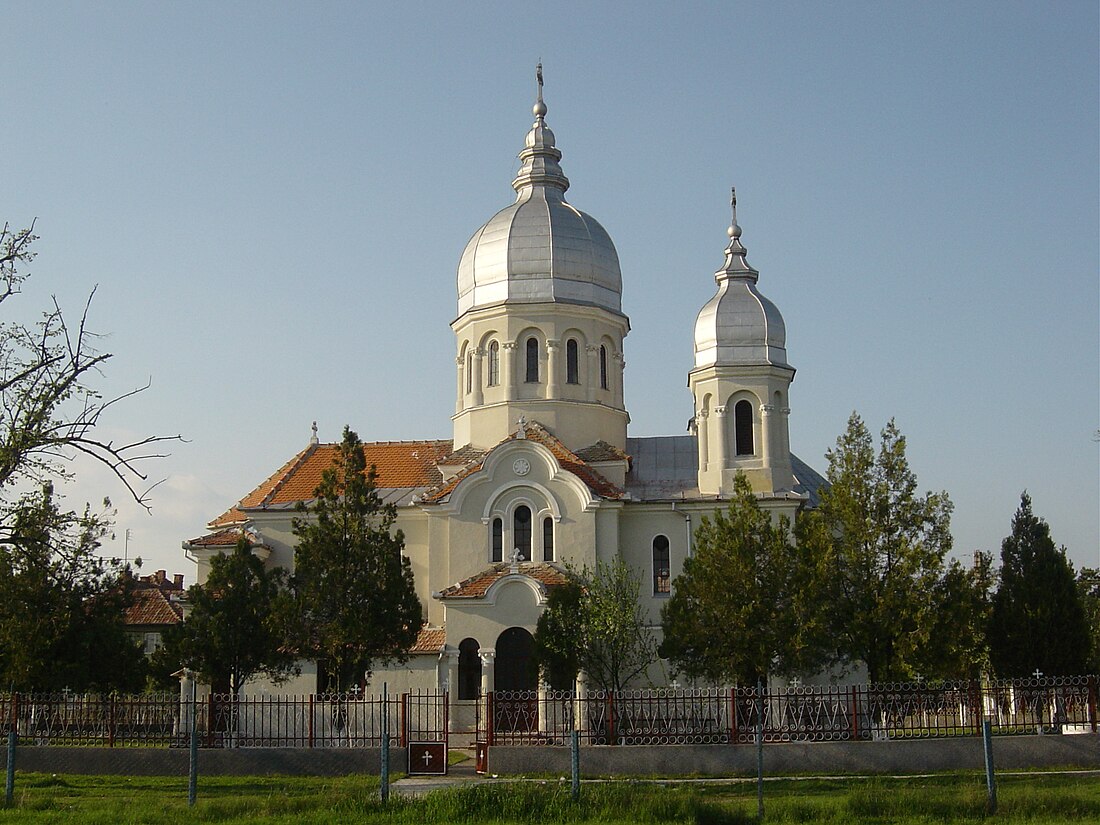 Avram Iancu, Bihor