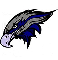 Youngstown Nighthawks MDPL logo.jpg