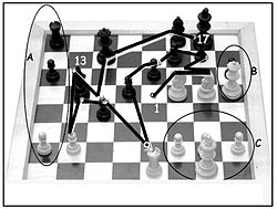Ovals A, B and C show which portions of the chess situation chess masters can reproduce correctly with their peripheral vision. Lines show path of foveal fixation during 5 seconds when the task is to memorize the situation as correctly as possible. Image from based on data by Eye movements of a chess champion nc.jpg