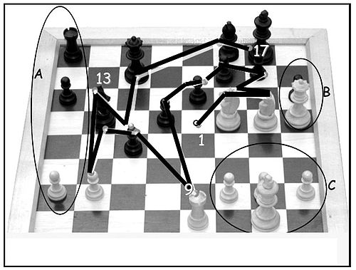 Ovals A, B and C show which portions of the chess situation chess masters can reproduce correctly with their peripheral vision. Lines show path of foveal fixation during 5 seconds when the task is to memorize the situation as correctly as possible. Image from[37] based on data by[38]
