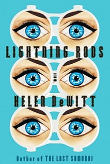 Lightning Rods (novel).jpg